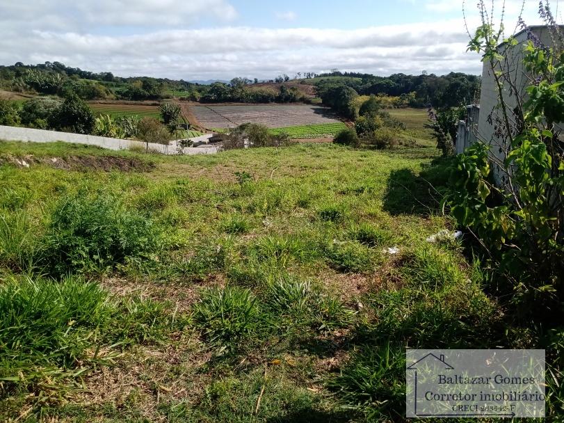 Terreno, 2296 m² - Foto 4