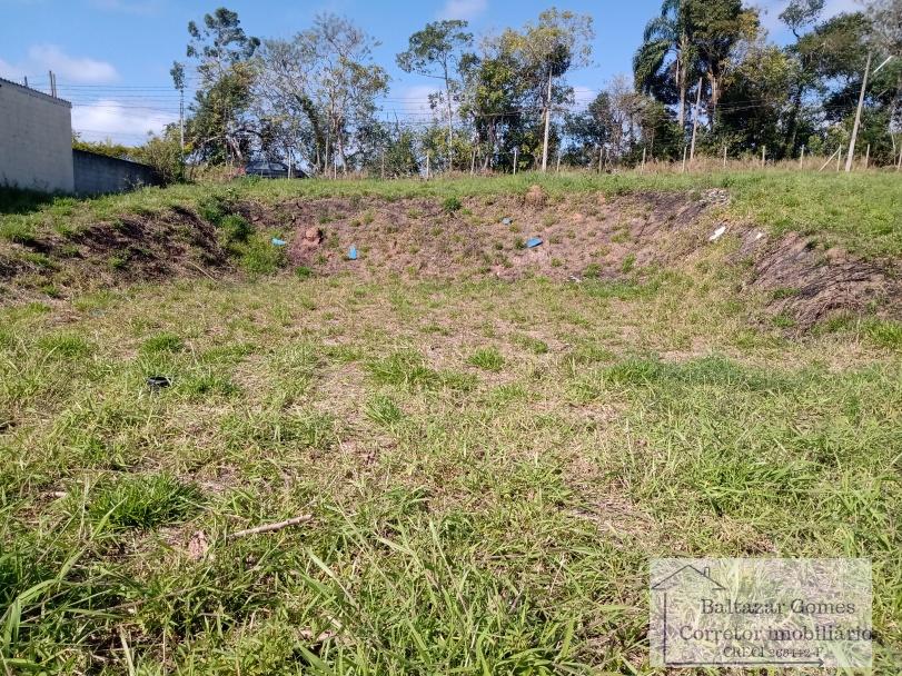 Terreno, 2296 m² - Foto 6