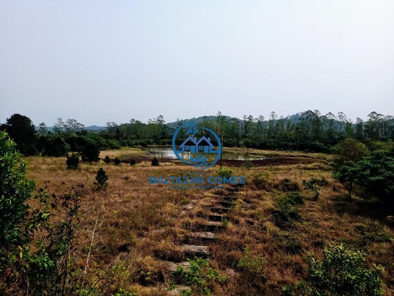 Sítio, 3 quartos, 35 m² - Foto 14