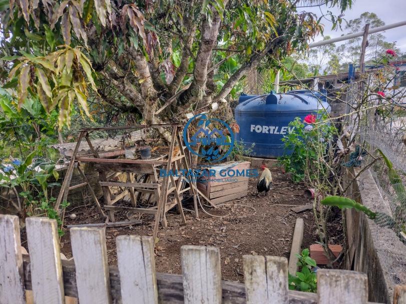 Sítio, 2 quartos, 4800 m² - Foto 5