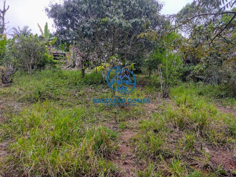 Sítio, 2 quartos, 4800 m² - Foto 16