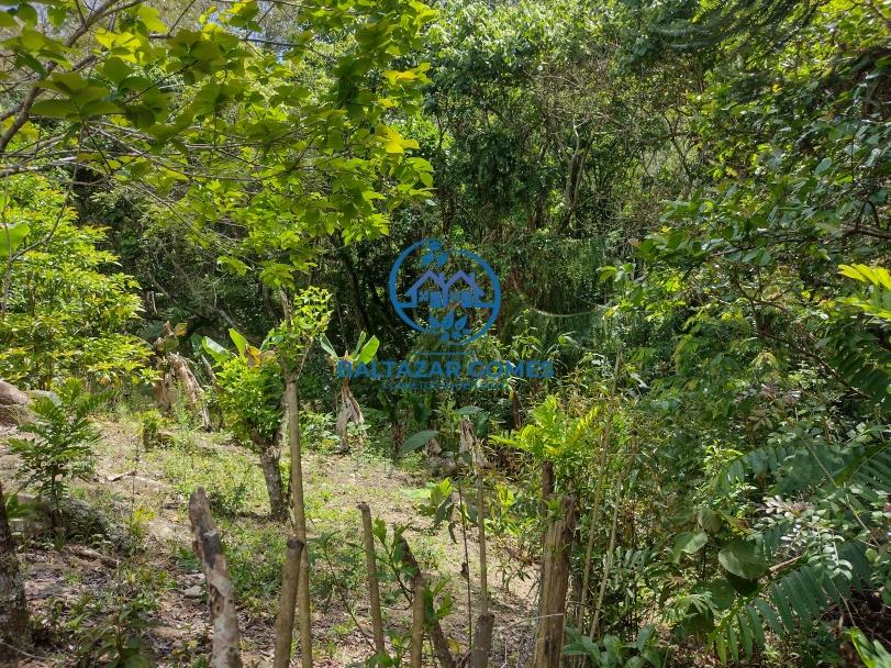 Sítio, 3 quartos, 6 hectares - Foto 26