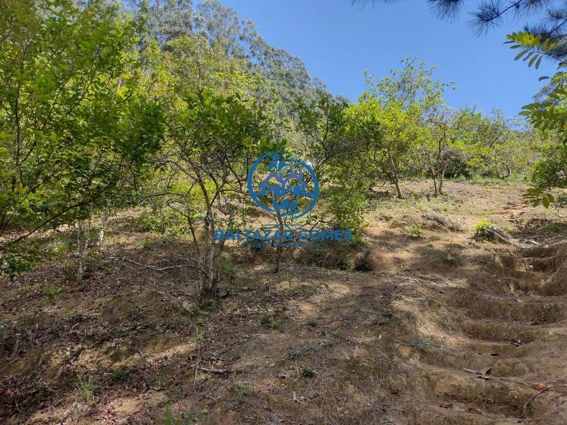 Sítio, 3 quartos, 6 hectares - Foto 28