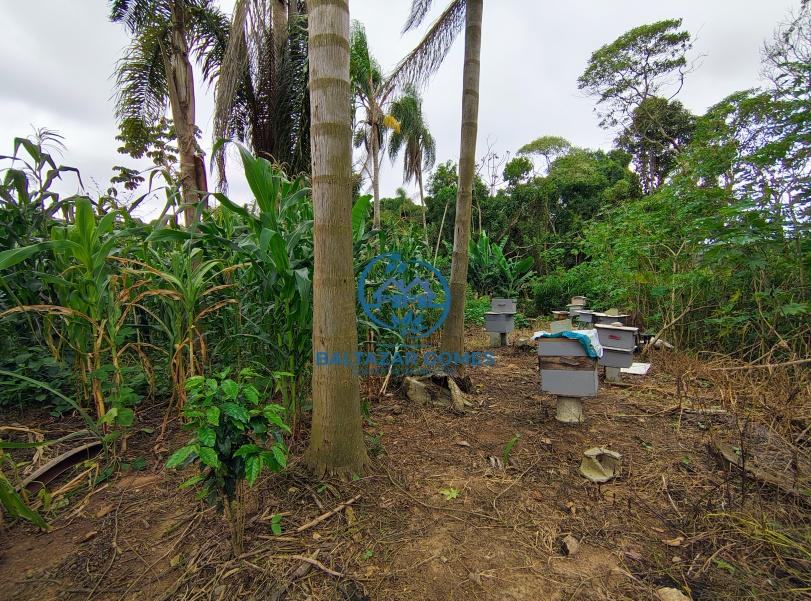 Chácara, 3 quartos, 7000 m² - Foto 11