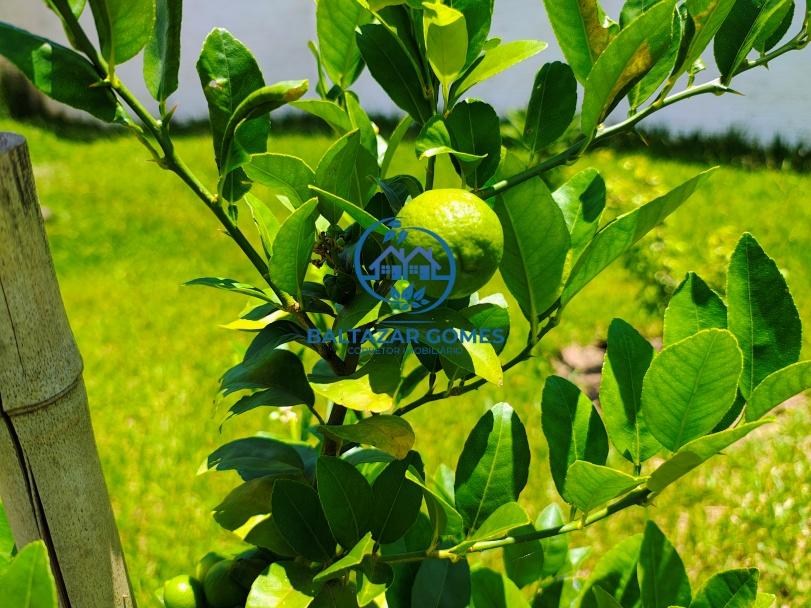 Sítio, 4 quartos, 4 hectares - Foto 12