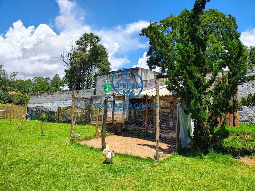 Sítio, 4 quartos, 4 hectares - Foto 23