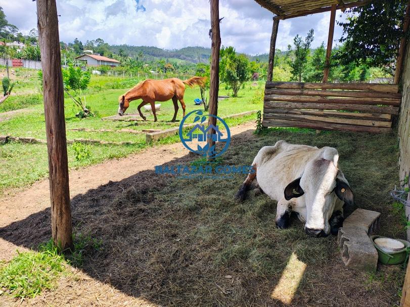 Sítio, 4 quartos, 4 hectares - Foto 28