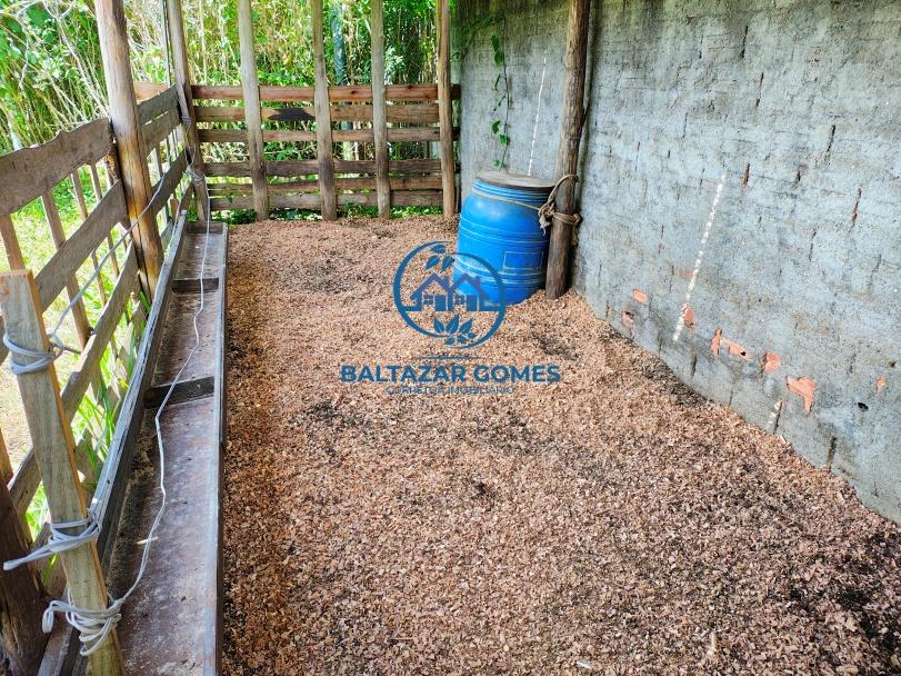 Sítio, 4 quartos, 4 hectares - Foto 31