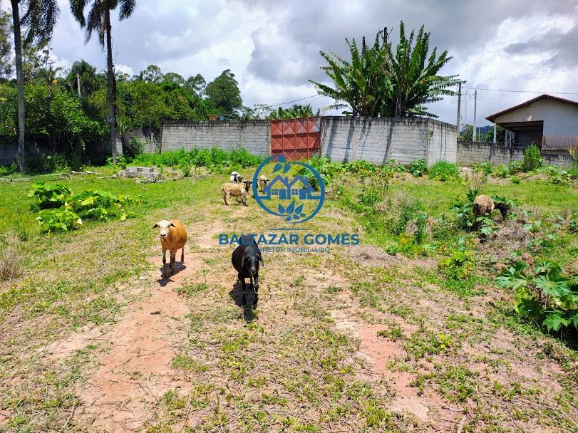 Sítio, 4 quartos, 4 hectares - Foto 35