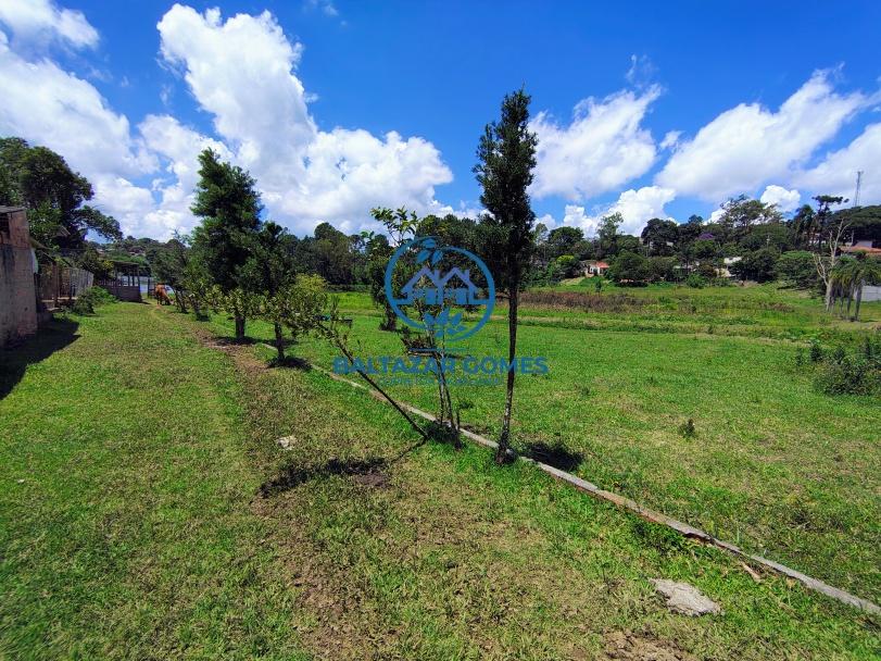 Sítio, 4 quartos, 4 hectares - Foto 34