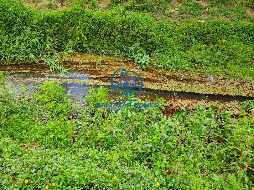 Sítio, 4 quartos, 4 hectares - Foto 38