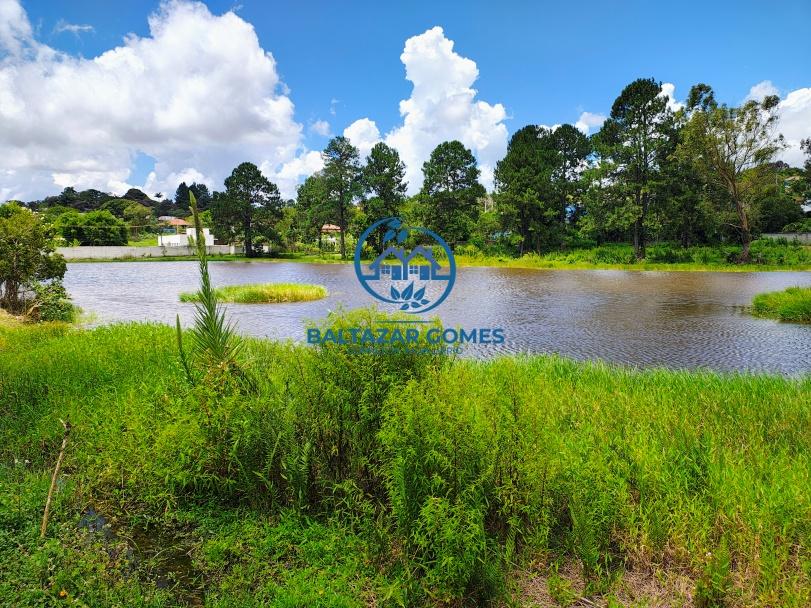 Sítio, 4 quartos, 4 hectares - Foto 37