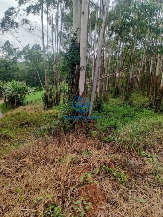 Terreno, 2 hectares - Foto 5