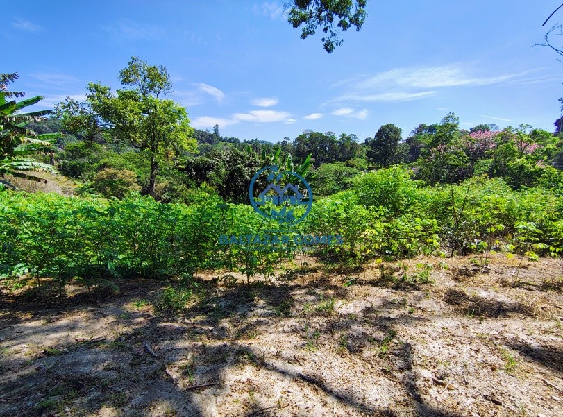 Terreno, 2895 m² - Foto 2