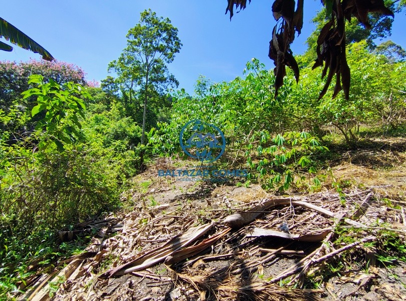 Terreno, 2895 m² - Foto 4