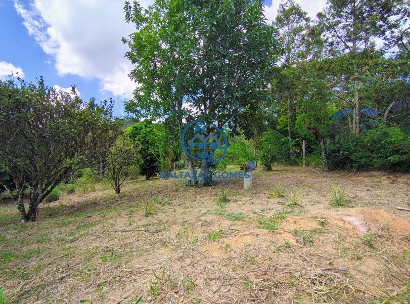 Chácara, 2 quartos, 10000 m² - Foto 7