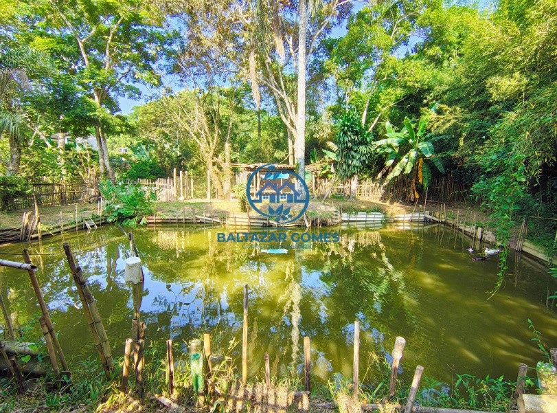 Chácara, 3 quartos, 2500 m² - Foto 3