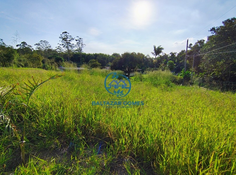 Chácara, 2 quartos, 8250 m² - Foto 4