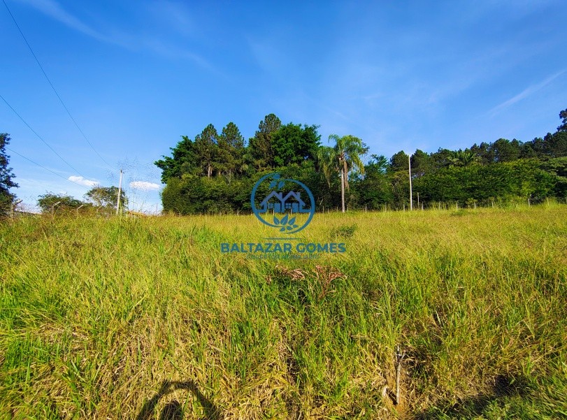 Chácara, 2 quartos, 8250 m² - Foto 5