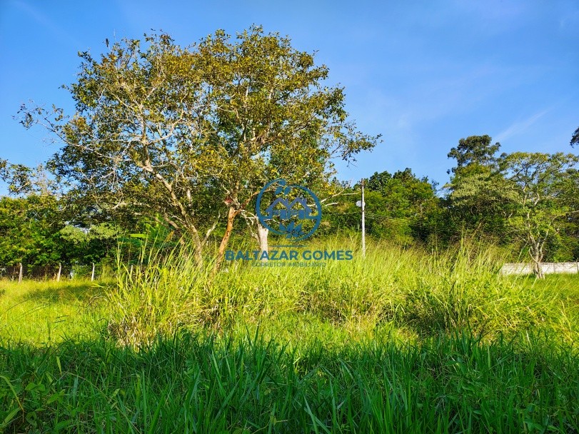 Chácara, 2 quartos, 8250 m² - Foto 9