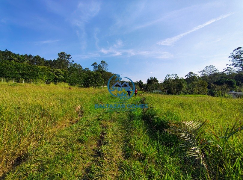 Chácara, 2 quartos, 8250 m² - Foto 7