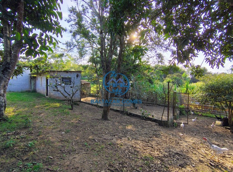 Chácara, 2 quartos, 8250 m² - Foto 3