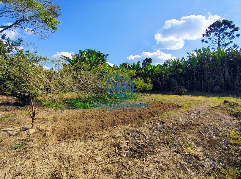 Chácara, 7 quartos, 5000 m² - Foto 27