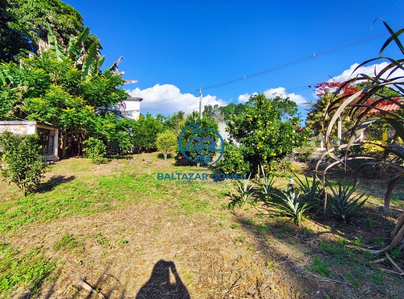 Chácara, 7 quartos, 5000 m² - Foto 30