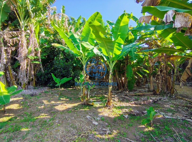 Chácara, 7 quartos, 5000 m² - Foto 29