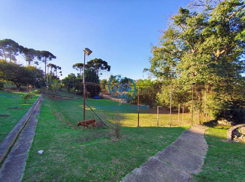 Chácara, 3 quartos, 4200 m² - Foto 22