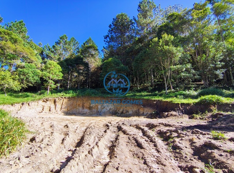 Chácara, 3 quartos, 6 hectares - Foto 24