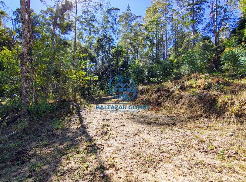 Chácara, 3 quartos, 6 hectares - Foto 26