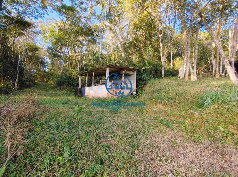 Chácara, 2 quartos, 2 hectares - Foto 18