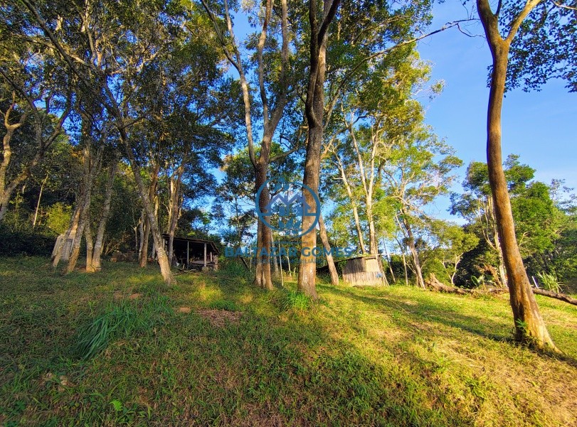 Chácara, 2 quartos, 2 hectares - Foto 19