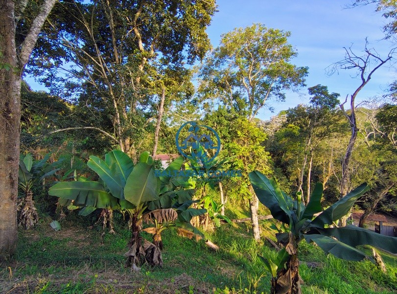 Chácara, 2 quartos, 2 hectares - Foto 21