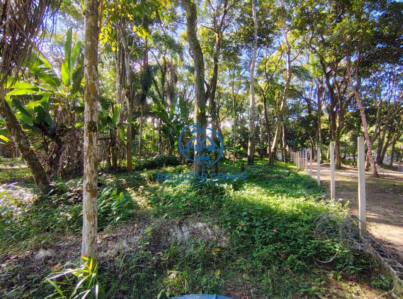 Chácara, 1 quarto, 1000 m² - Foto 7