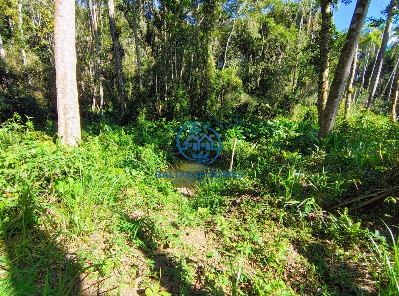 Chácara, 1 quarto, 1000 m² - Foto 5