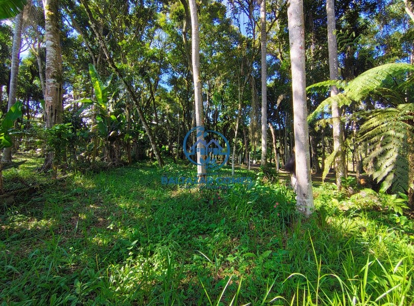 Chácara, 1 quarto, 1000 m² - Foto 6