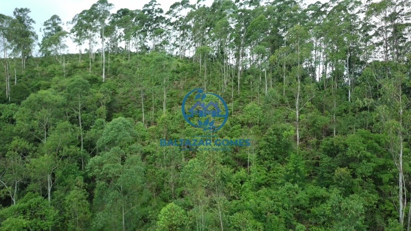 Terreno, 2 hectares - Foto 1