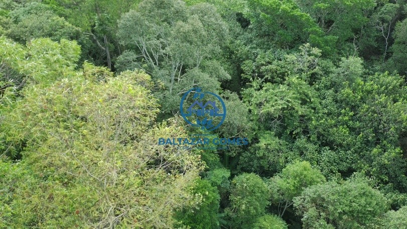 Terreno, 2 hectares - Foto 3