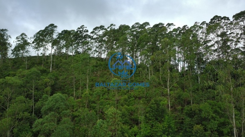 Terreno, 2 hectares - Foto 2