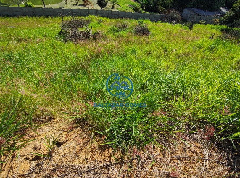 Terreno, 2700 m² - Foto 3