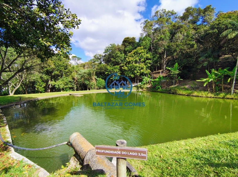 Chácara, 3 quartos, 6 hectares - Foto 2