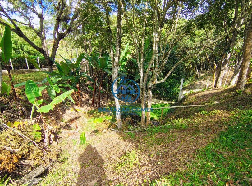 Chácara, 3 quartos, 6 hectares - Foto 5