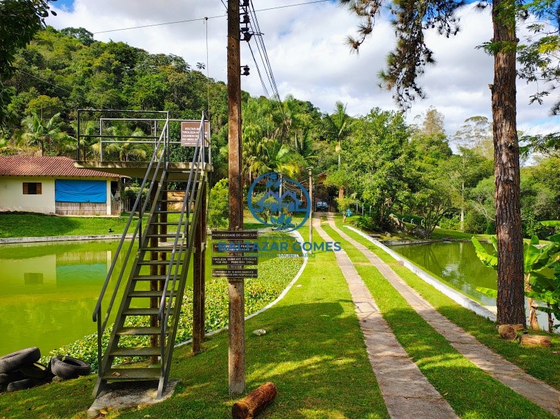 Chácara, 3 quartos, 6 hectares - Foto 6
