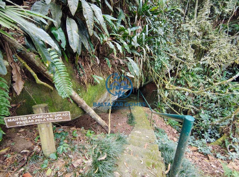 Chácara, 3 quartos, 6 hectares - Foto 38