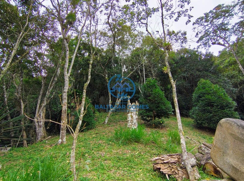 Chácara, 3 quartos, 6 hectares - Foto 47