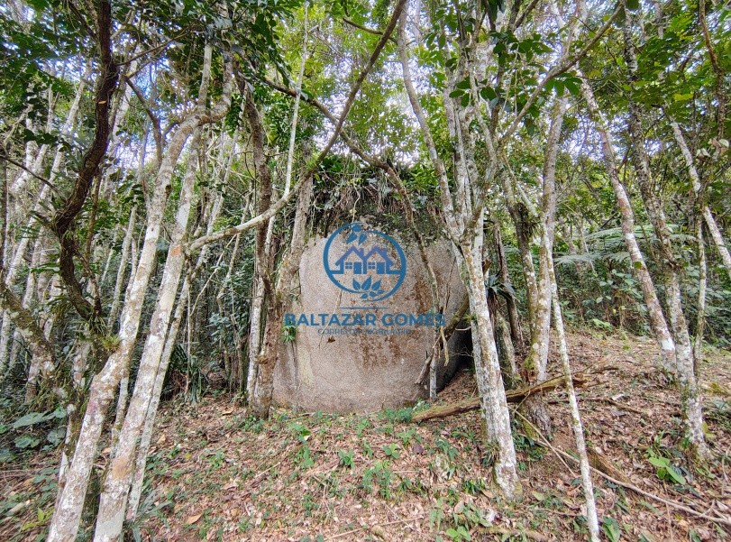 Chácara, 3 quartos, 6 hectares - Foto 43