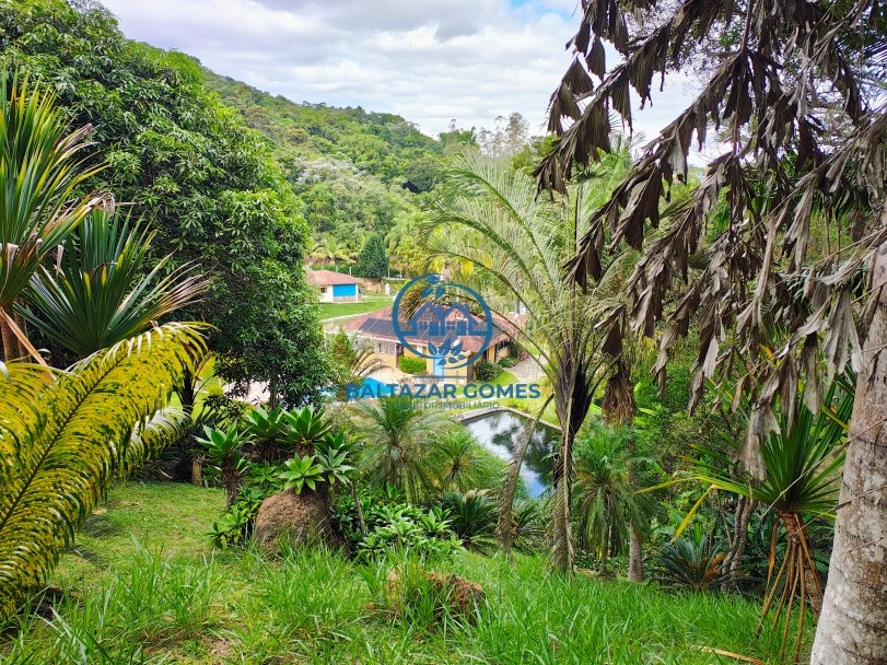 Chácara, 3 quartos, 6 hectares - Foto 44