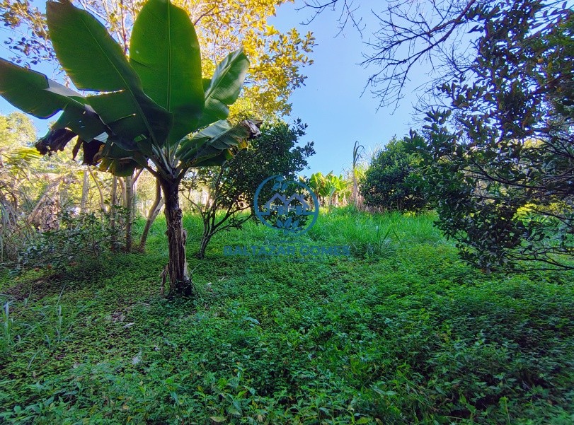 Chácara, 2 quartos, 2400 m² - Foto 18